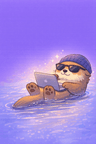 気ままなラッコ